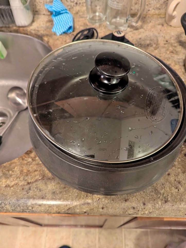 Electric Hot pot