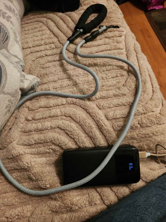 Rosy Tails Dog Leash