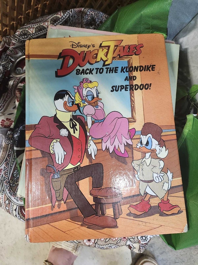 Ducktales Back to the Klondike Book