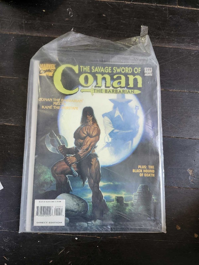 Savage Sword of Conan #219 Comic Book