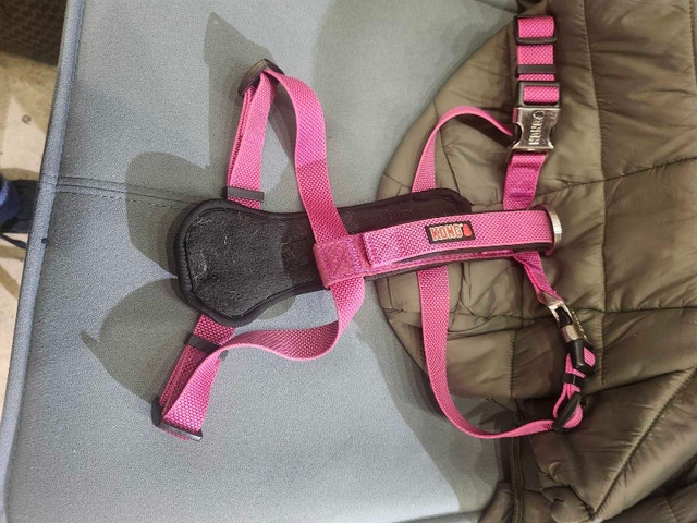 Kong Harness