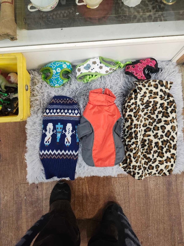 Dog Clothes and Harnesses