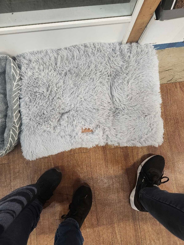 Dog Bed comfortable