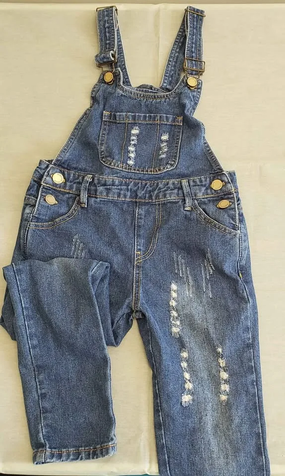 Girl Clothing Bundle w/4 COATS!!! Sizes 6-6X image indicator(8)