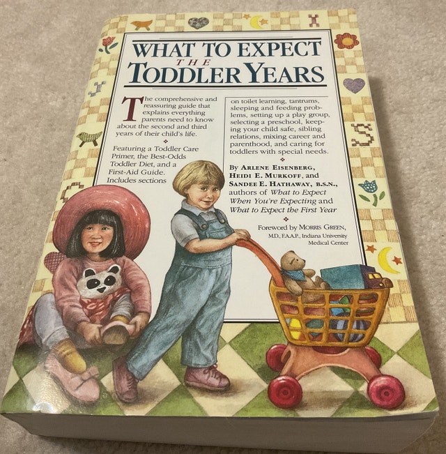 What To Expect When Expecting & What To Expect Toddler Years - photo 3