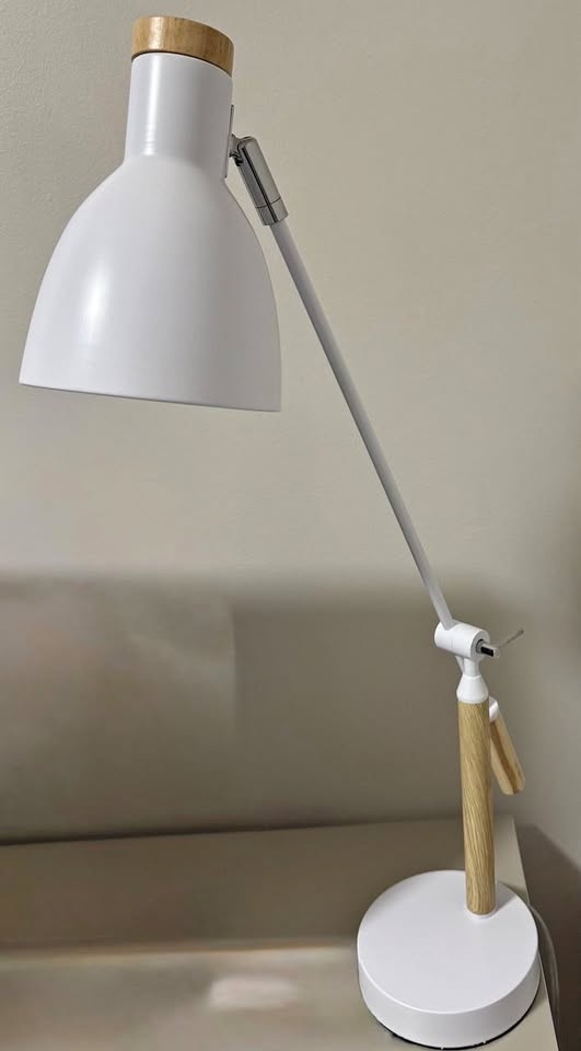 Desk lamp with swing arm