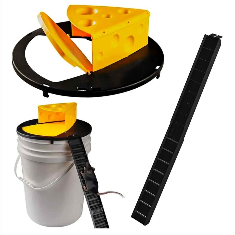 🏆 New Automatic Humane Mouse Trap Lid ONLY