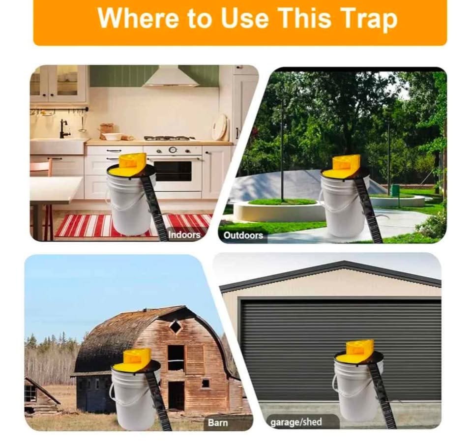 🏆 New Automatic Humane Mouse Trap Lid ONLY - photo 5