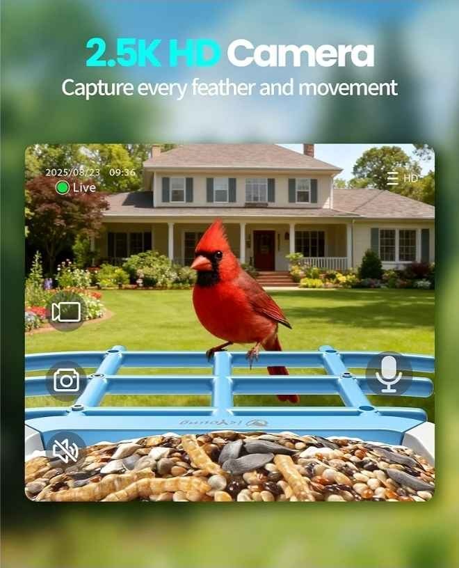 isYoung Smart Bird Feeder with Camera, 2.5K QHD, AI Bird ID - photo 4