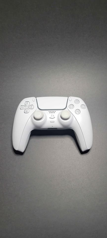 NMD Whiteout Custom Controller - TMR PS5 - photo 4