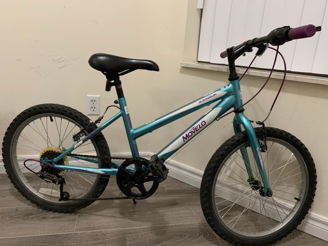 Movelco Algonquin 20 Inch Bike