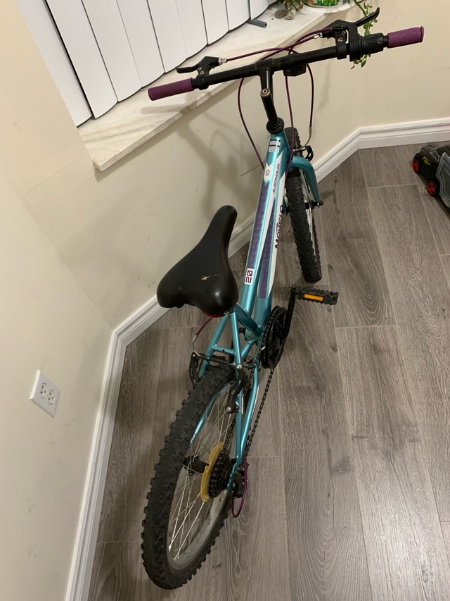 Movelco Algonquin 20 Inch Bike - photo 2