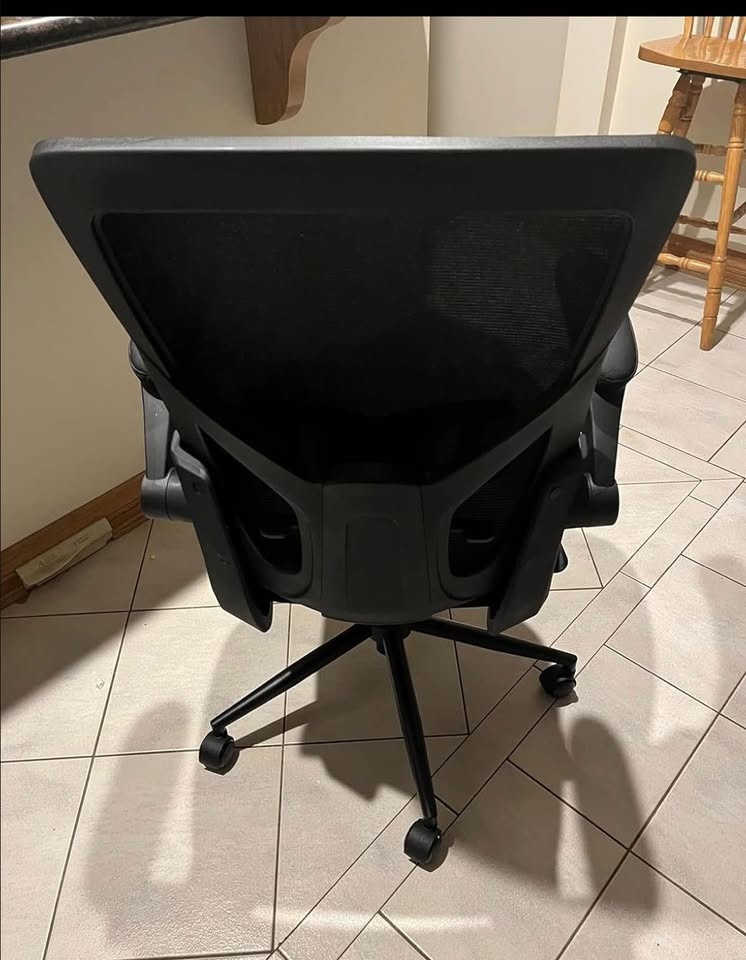 Ergonomic Mesh Desk Chair with Adjustable Lumbar Support - photo 2