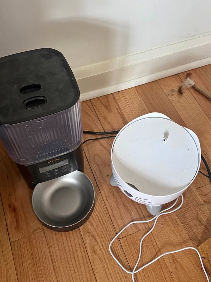 Water Fountain and Automatic Feeder