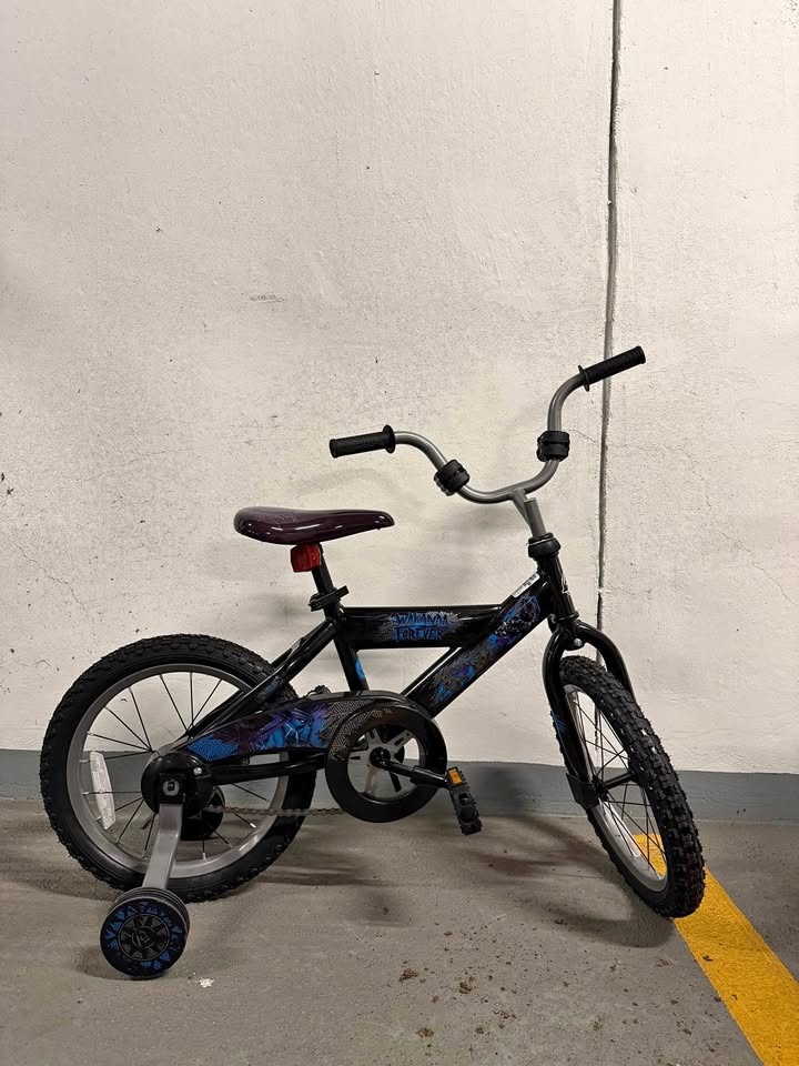 Brand New Children Bike