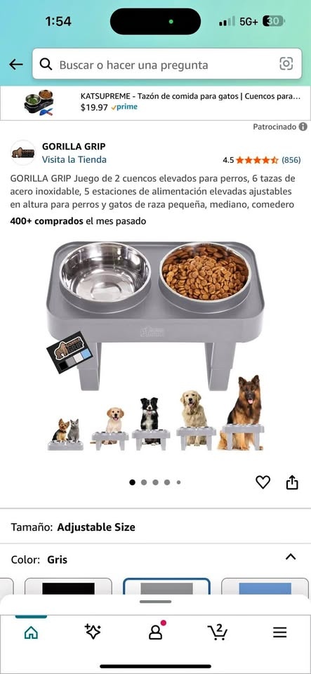 Dog and Cat Feeder