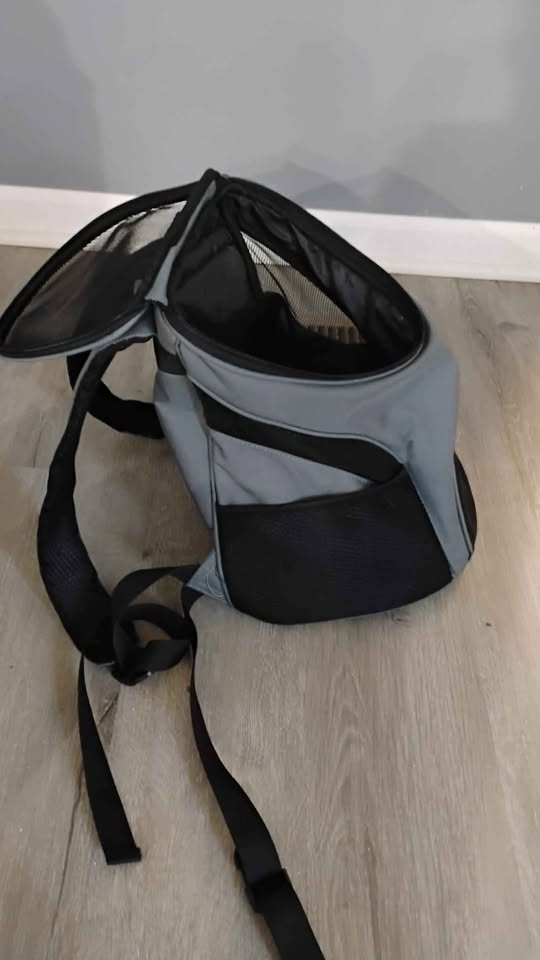 Mochila para cargar gatito