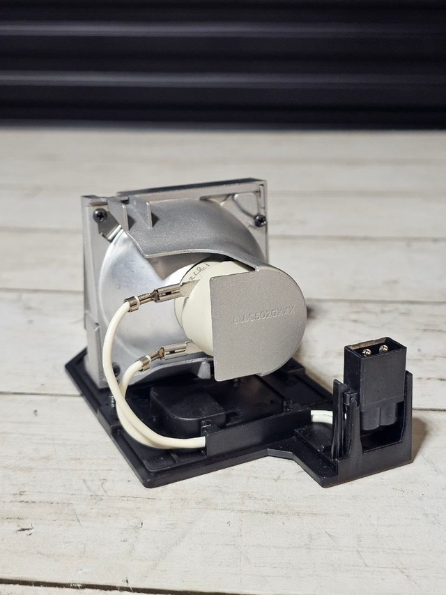 Sanyo Projector Lamp & Housing (POA-LMP138) - photo 2