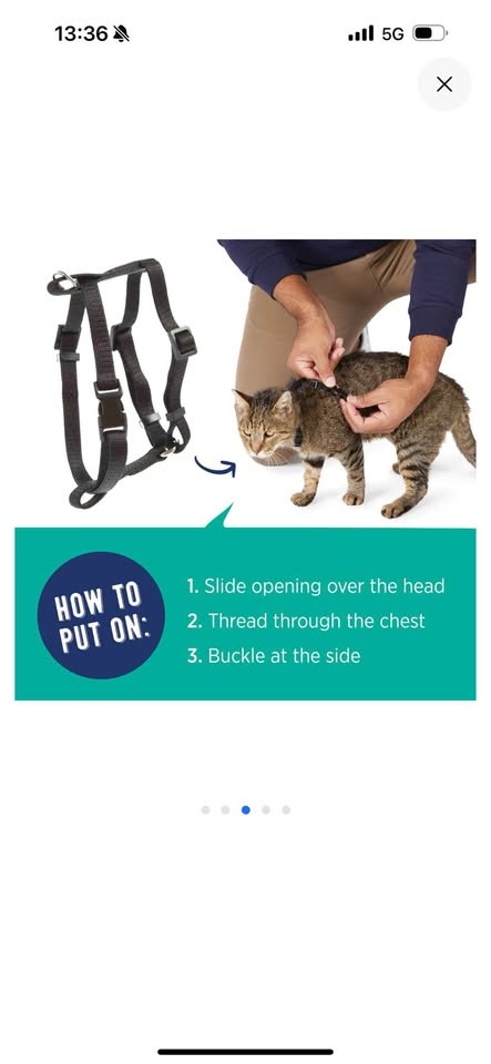 Whisker City Kitten Harness – Black (8–12 in) - photo 2