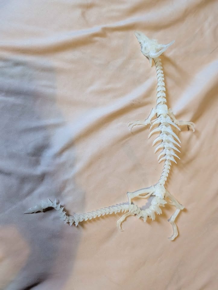 3D Printed Glow-in-the-Dark Dragon Skeleton - photo 2