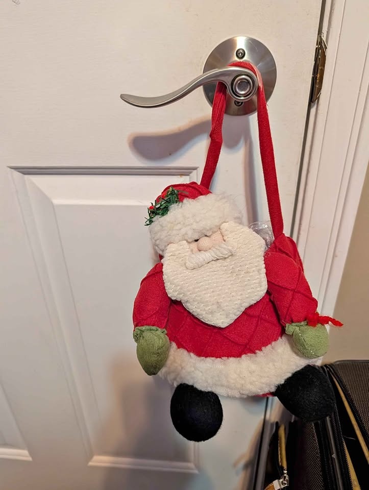 Santa Plush Basket