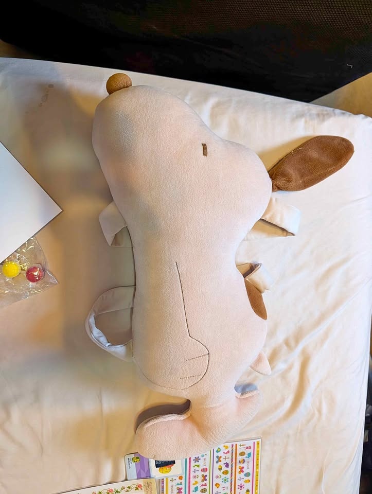 Snoopy car pillow