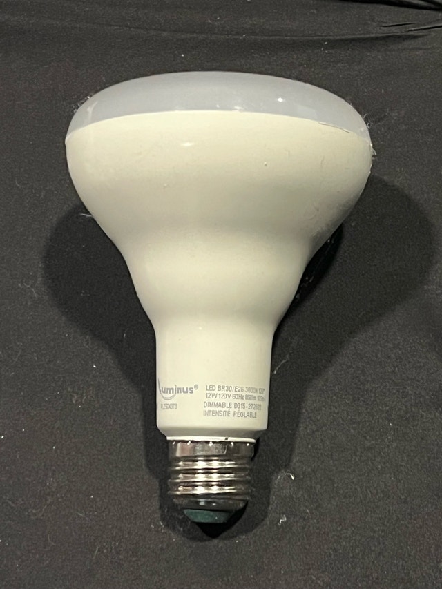 Luminous BR30 LED Bulbs