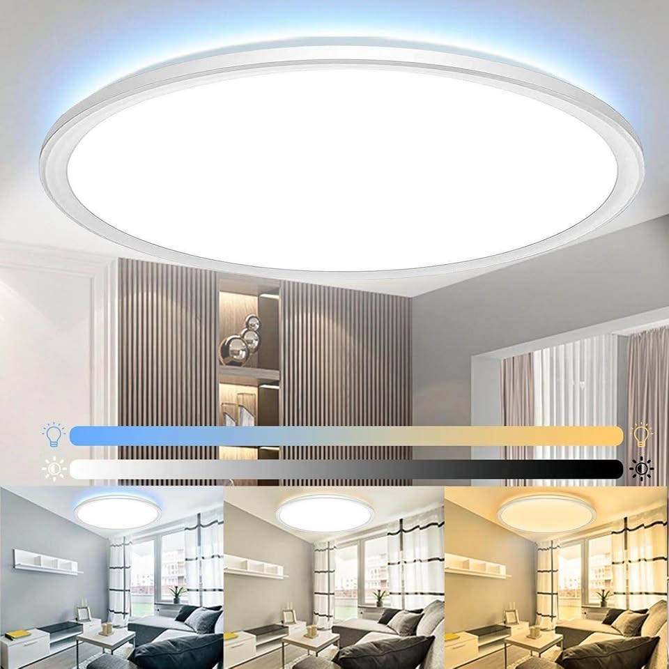 23.2 Inch Flush Mount Ceiling Light