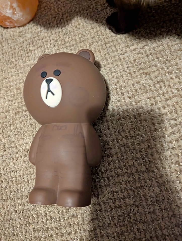 Line Friends Brown bear pencil case