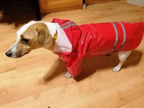 Pup Reflector Raincoats - photo 2
