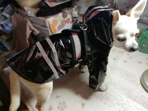 Pup Reflector Raincoats - photo 5