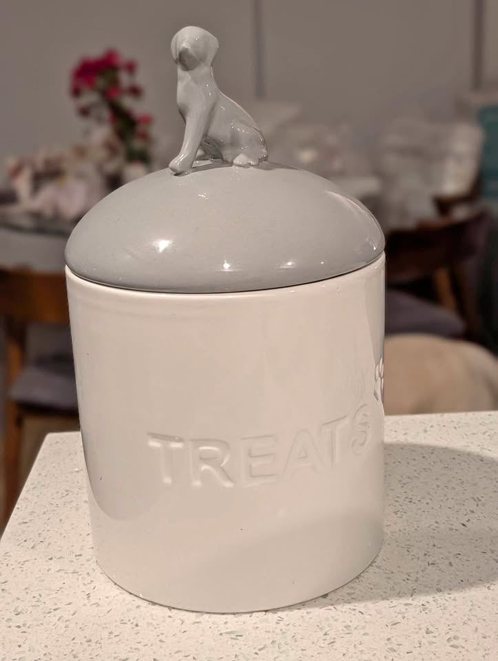 Treat Jar ceramic jar cookie jar