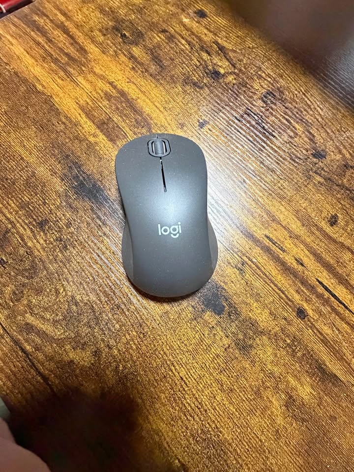 Logitech Wireless Mouse