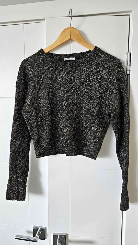 Zara W&B Shimmer Top & Aerie Sequin Crop Top M - photo 2