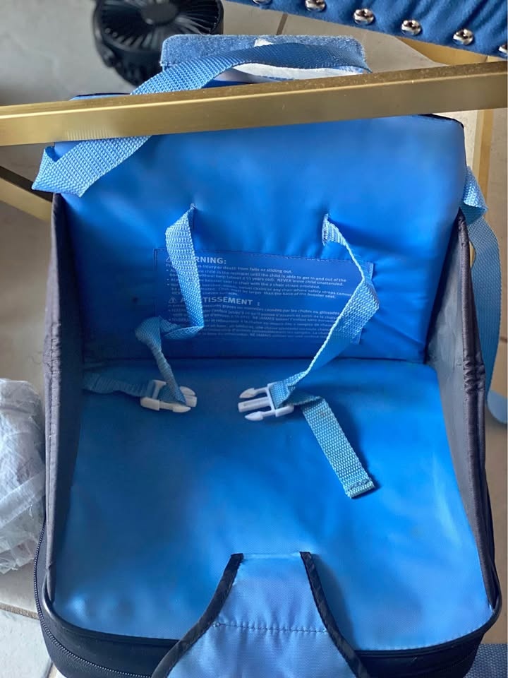 Portable booster chair