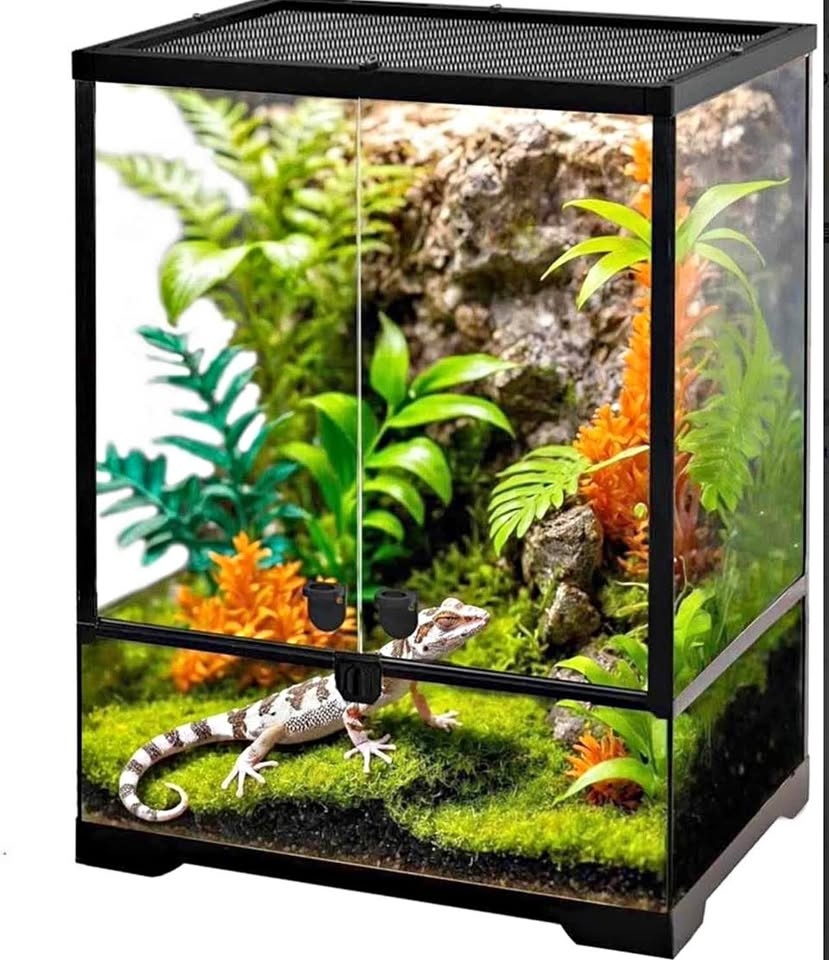 Neptonion 32 Gallon Glass Terrarium Reptile Habitat