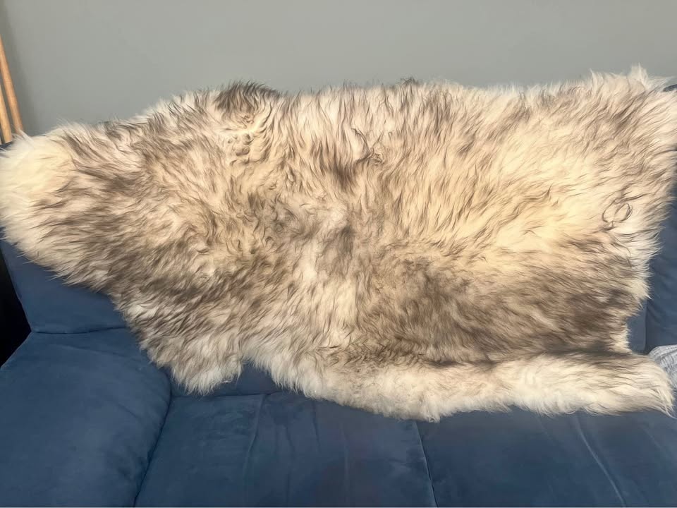 Poland/Polish Sheepskin, white with black