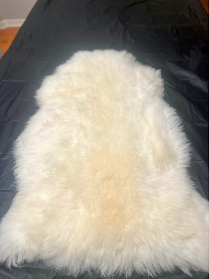Poland/Polish Sheepskin, white