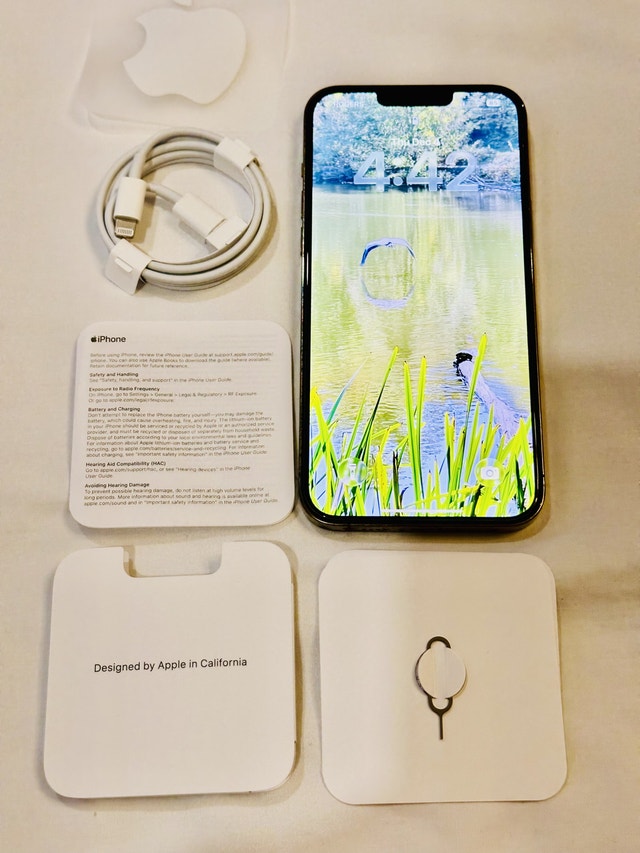 iPhone 13 Pro Max Like New - 1 Adult Owner