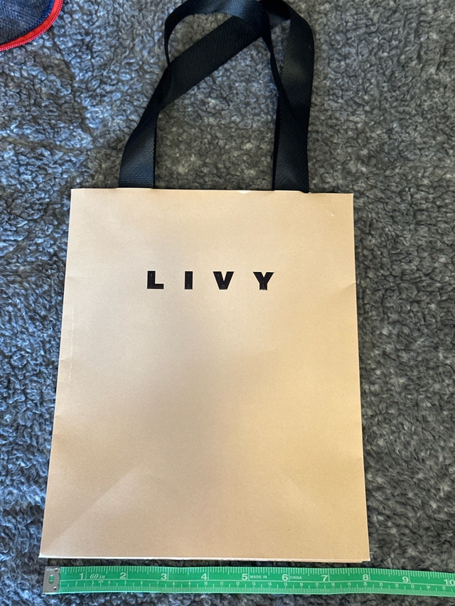 Livy Paris Designer Lingerie Boutique Paper Gift Bag - photo 3