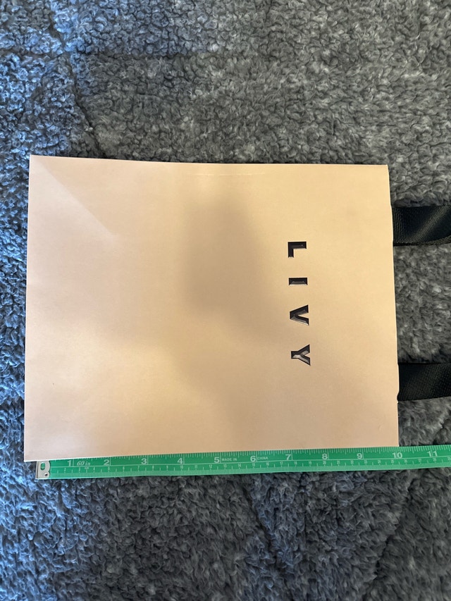 Livy Paris Designer Lingerie Boutique Paper Gift Bag - photo 4