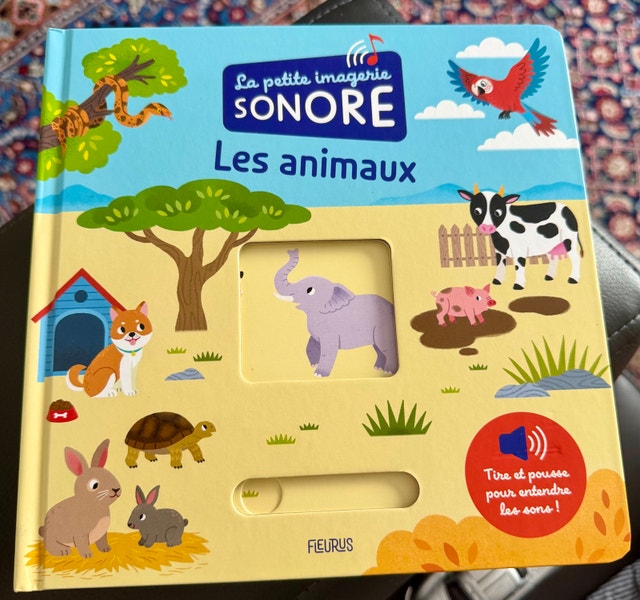 Brand New French Talking Kids Book