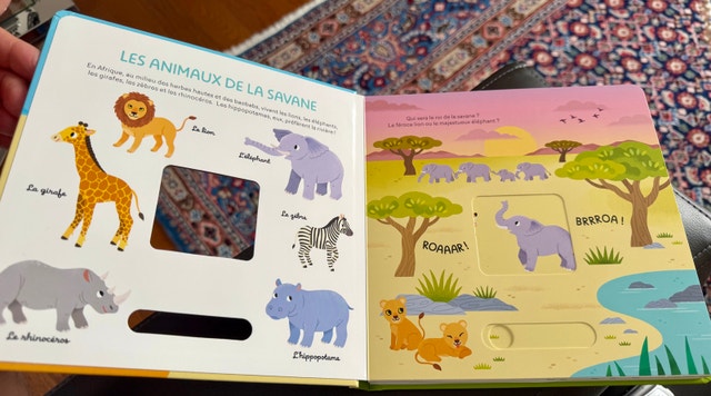 Brand New French Talking Kids Book - photo 3