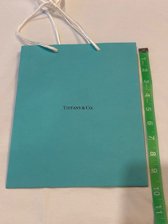 Brand New Tiffany paper Gift Bag