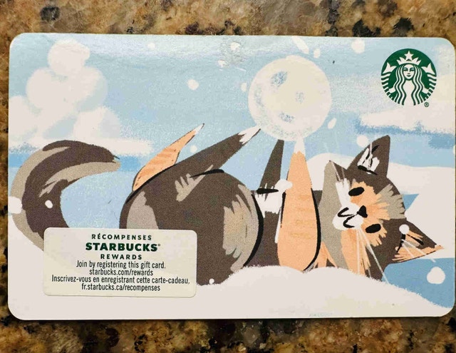 Rare 2020 Starbucks Gift Card Collection - Fox Design