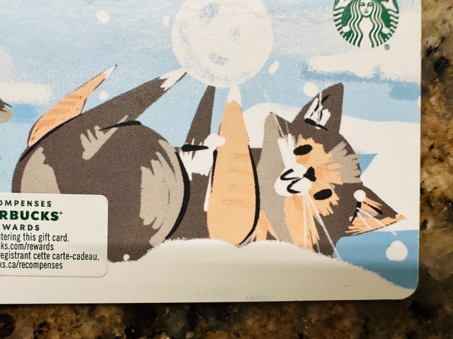 Rare 2020 Starbucks Gift Card Collection - Fox Design - photo 2