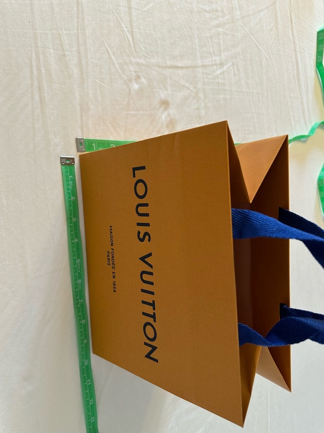 Louis Vuitton Paper Gift Bag - Brown/Blue Handles - photo 3