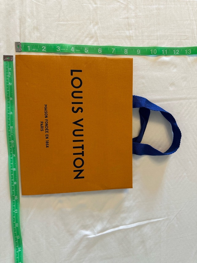 Louis Vuitton Paper Gift Bag - Brown/Blue Handles - photo 4