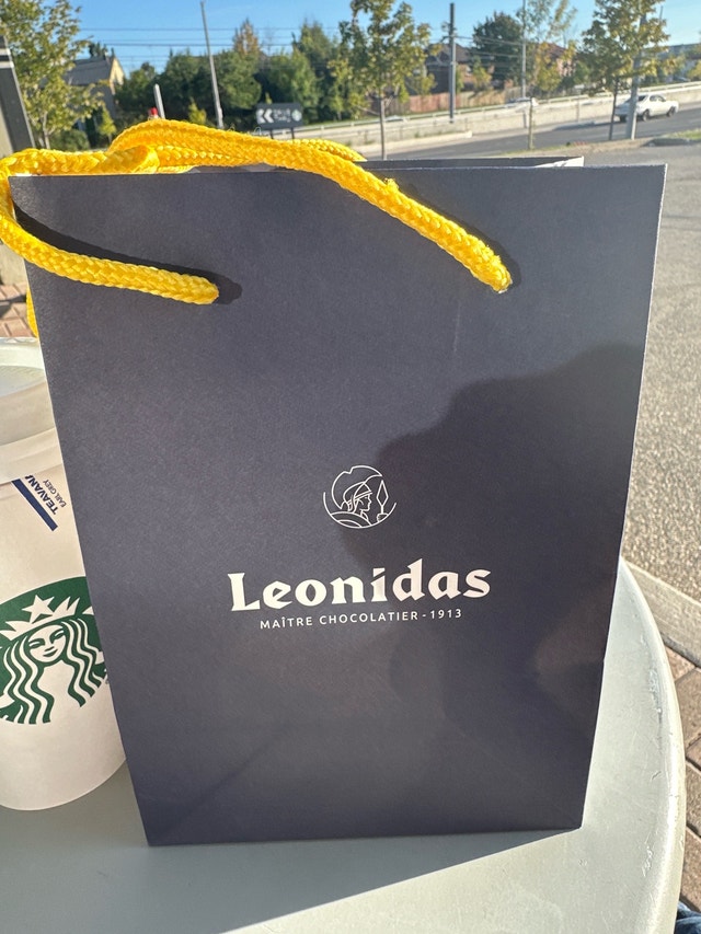 Brand new Leonidas paper gift bag