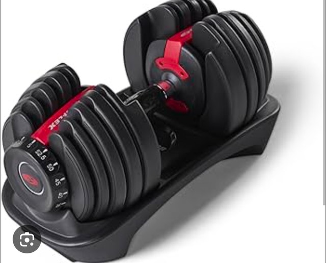 1 Lightly Used Bowflex Adjustable Dumbbells